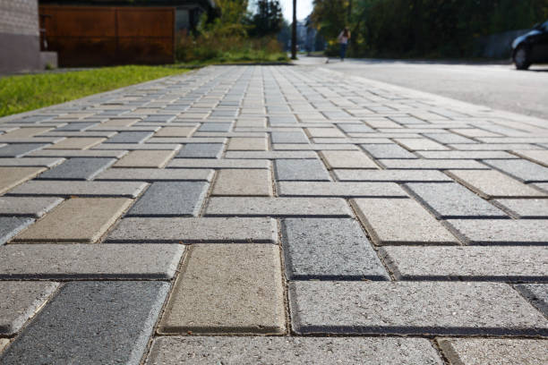 Best Affordable Driveway Pavers  in Crane, TX