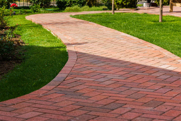 Best Local Driveway Pavers  in Crane, TX